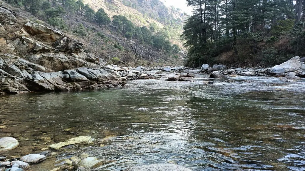 river flowing in tirthan valley clear water trees and a beautiful mountain view