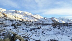 winter view of nako village banner for article