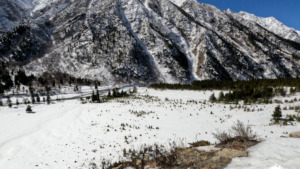 snow covered rakcham meadows in sangla himachal
