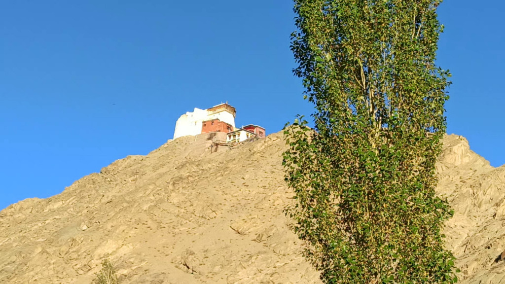 view of Castle Tsemo on a mountain in leh city