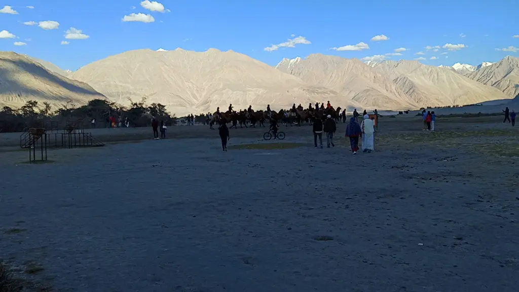 hunder sand dunes in nubra leh image for article