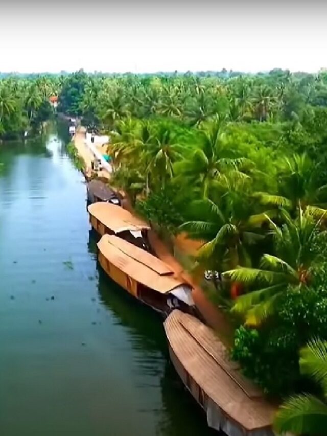 back water , house noats and lush green jungle in kerala