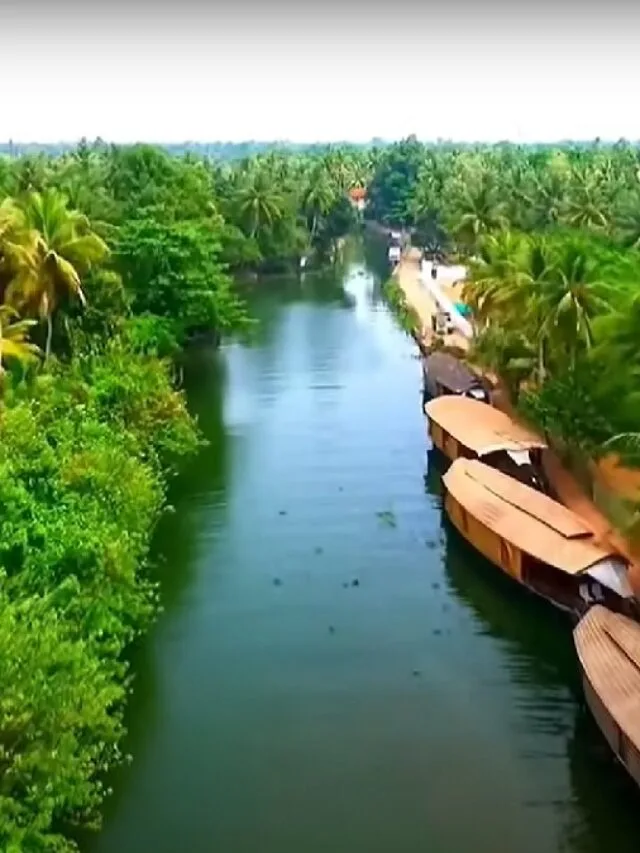 back water , house noats and lush green jungle in kerala