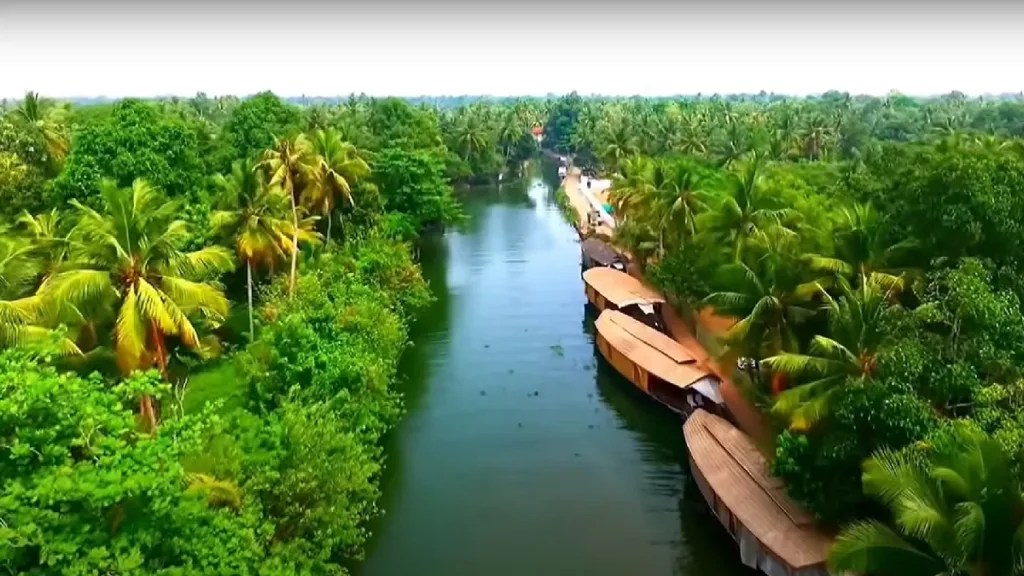 back water , house noats and lush green jungle in kerala