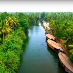 back water , house noats and lush green jungle in kerala