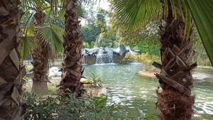 bird park in chandigarh the city beautiful