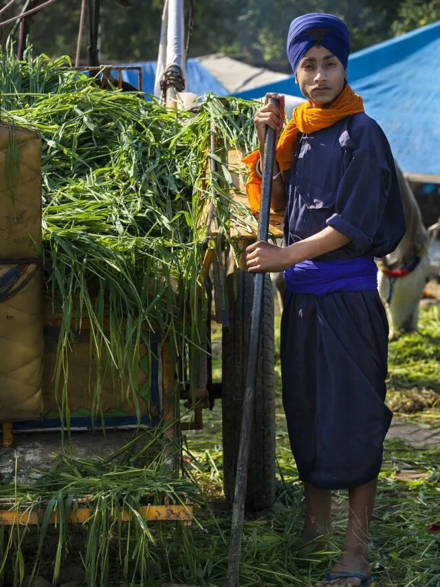 a farmer with agriculture produce standing in Punjab web story poster image winter vacation in punjab