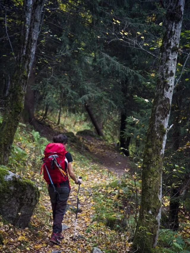 trekking, sports, mountain-Tirthan valley web story cover image