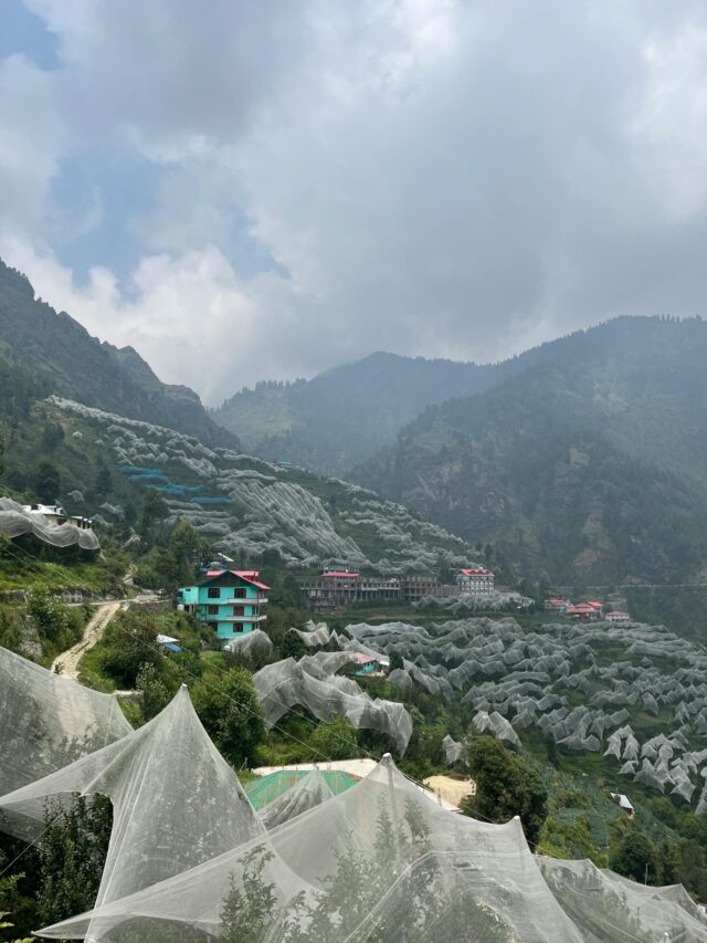 Scenic Hill Stations Near Mohali For A Perfect Family Vacation