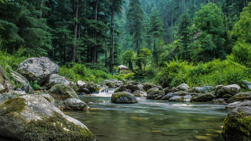 jibhi view of river in jibhi in tirthan valley in himachal