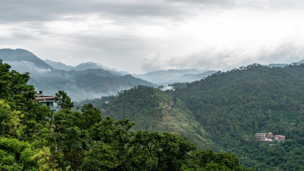 habban valley Stunning view of the lush green mountains and misty skies in habban valley, Himachal Pradesh, India.