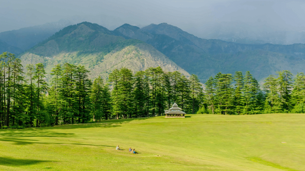 sainj valleyss beautiful meadows in sainj valley in himachal