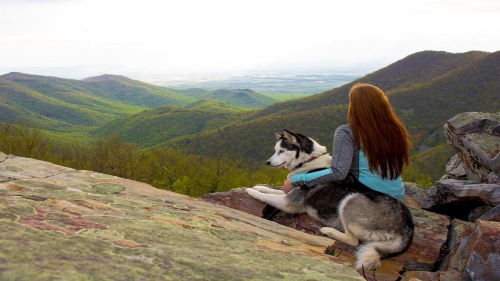 travel with pets woman sitting with her pet on mountain watching mountains, traveling with pets