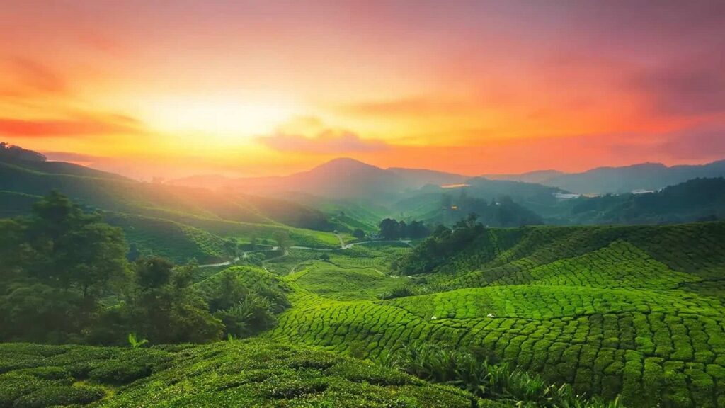 munnar in winters, winter vacation in munnar